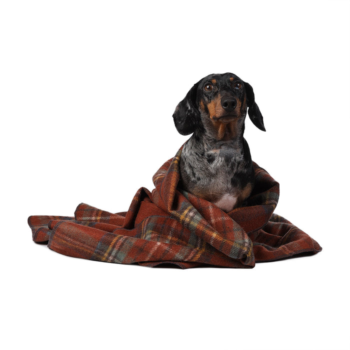 Tartan Pet Blanket Stewart Royal Antique - Heritage Of Scotland - STEWART ROYAL ANTIQUE