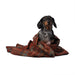 Tartan Pet Blanket Stewart Royal Antique - Heritage Of Scotland - STEWART ROYAL ANTIQUE