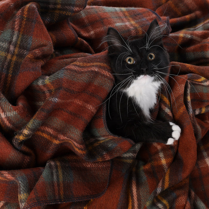 Tartan Pet Blanket Stewart Royal Antique - Heritage Of Scotland - STEWART ROYAL ANTIQUE