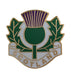 Thistle With Scotland Text Badge - Heritage Of Scotland - NA