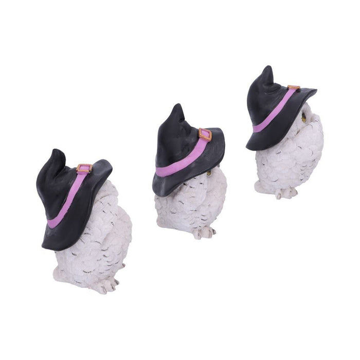Three Wise Feathered Familiars 9Cm - Heritage Of Scotland - N/A